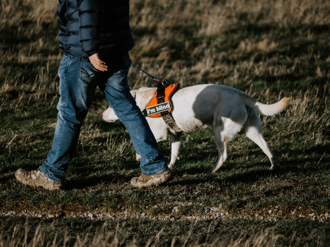 Photo Padded harness